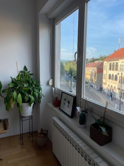 Spacious 3Br/2Bt Apartment With A/C In City Center Zagreb Extérieur photo